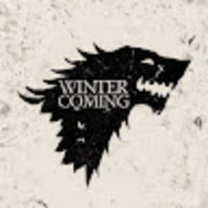 Meet your Posher, Sophie